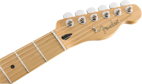 FENDER PLAYER Telecaster MN Butterscotch Blonde фото 4