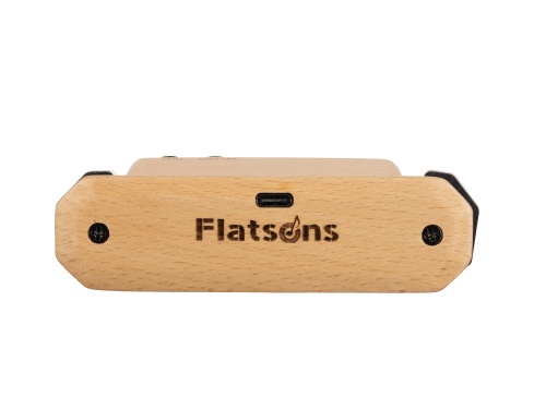 Flatsons FR6 фото 2