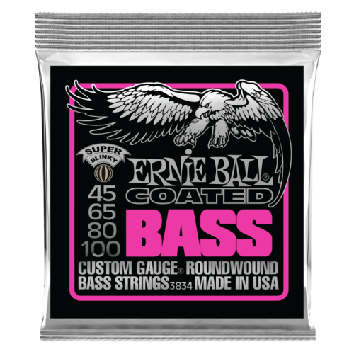 ERNIE BALL P03834